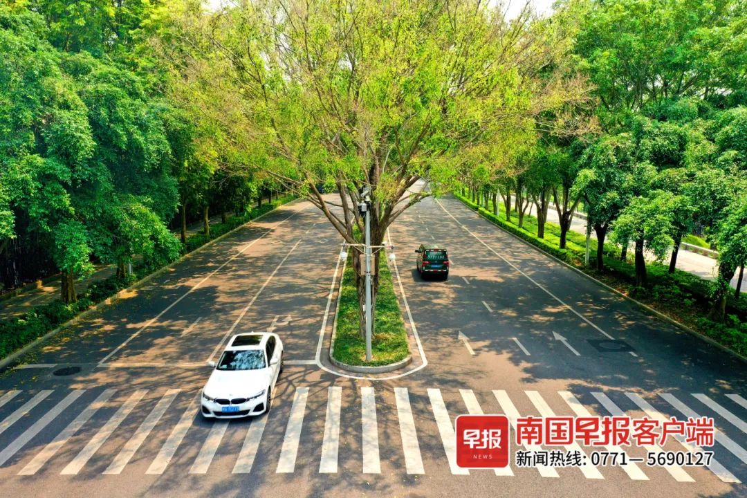 ▲4月30日，南宁艳阳高照，荔滨大道高密度的绿植为过往车辆提供了舒适的行车环境。
