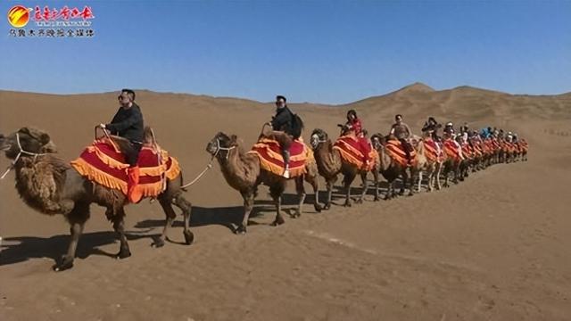 　　S21阿乌高速公路克拉美丽沙漠公园，游客体验骆驼骑行。通讯员章馨元摄
