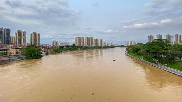 2024年4月29日，广东东莞，洪水过境东莞，东江发生2024年第1号洪水，高埗沿江岸水位也上升明显。 澎湃影像 图