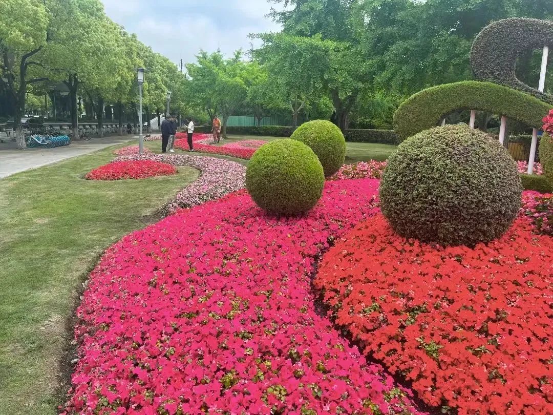 情人节路边花坛图片