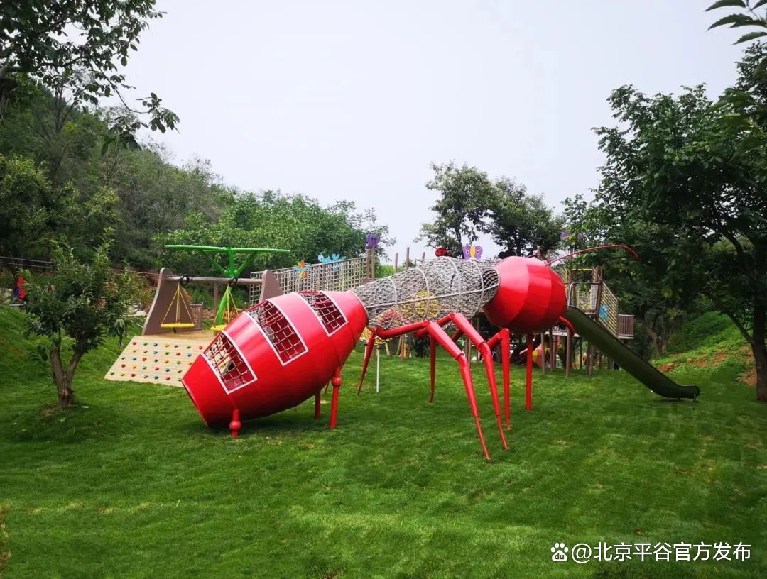 大华山镇走起,诗与远方就在身边!