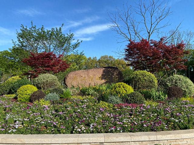 上海杨浦区属公园全部24小时开放,今年将再破墙改造6座公园