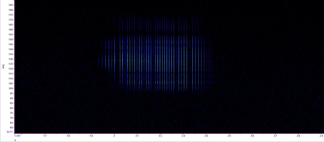 长江口江豚声音频谱图。 本文图均为 上海海洋大学 供图（除署名外）