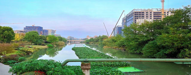 图：浙江余杭塘项目生物多样性保护和生态修复