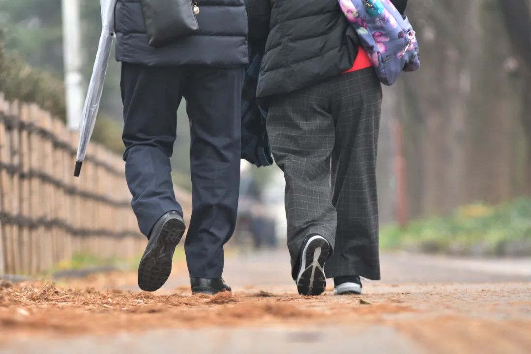 图库版权图片,转载使用可能引发版权纠纷