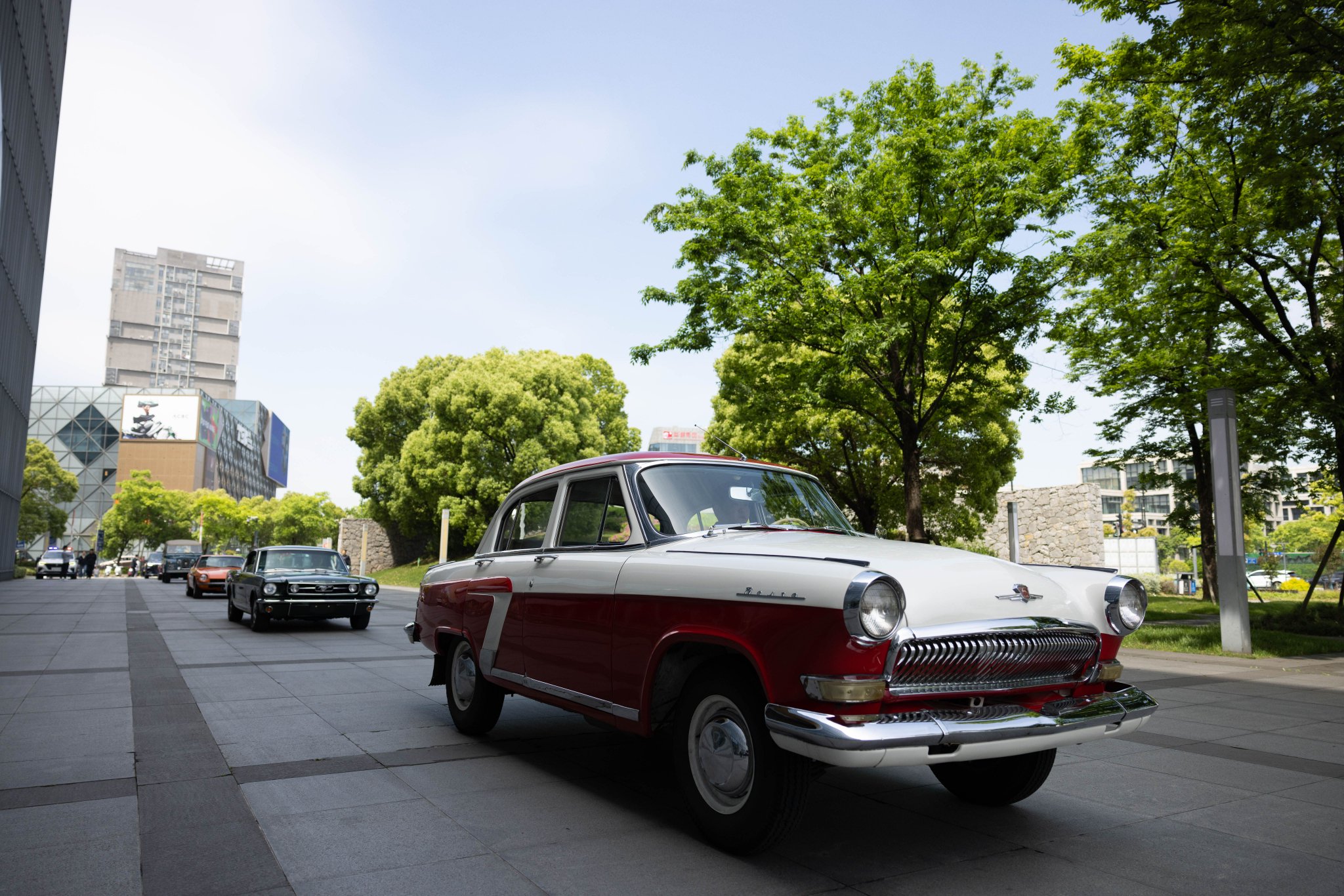 远香湖畔邂逅一场经典古董车巡游