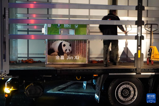 4月29日，在西班牙马德里，工作人员转运大熊猫“金喜”。新华社发（西班牙马德里动物园供图）