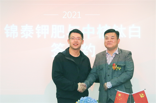 王泽龙（左）代表中核钛白与合作商锦泰钾肥签约。