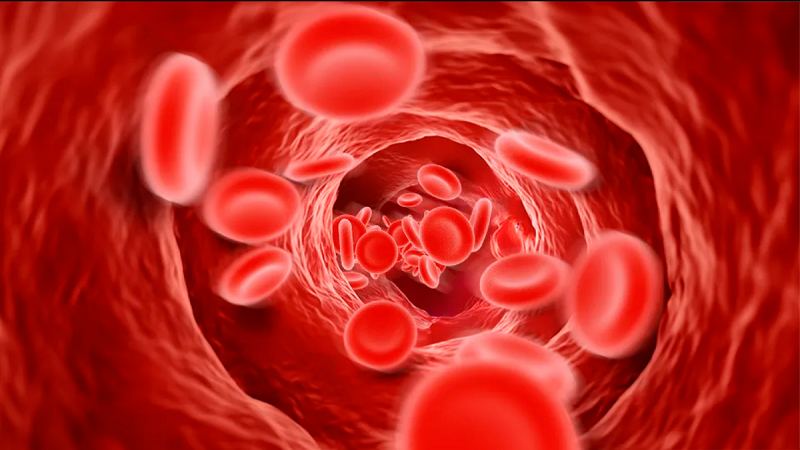 NIH领导的研究发现，遗传标记可以解释两个人血压差异高达12%。