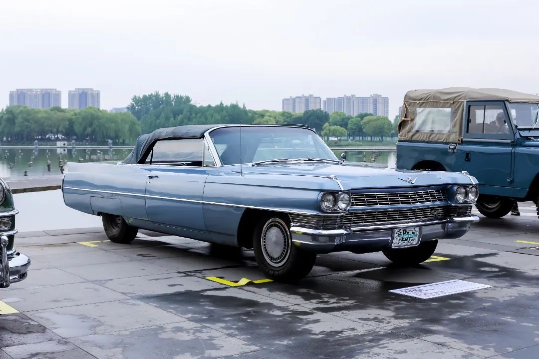 你围观古董车"首秀"了吗?