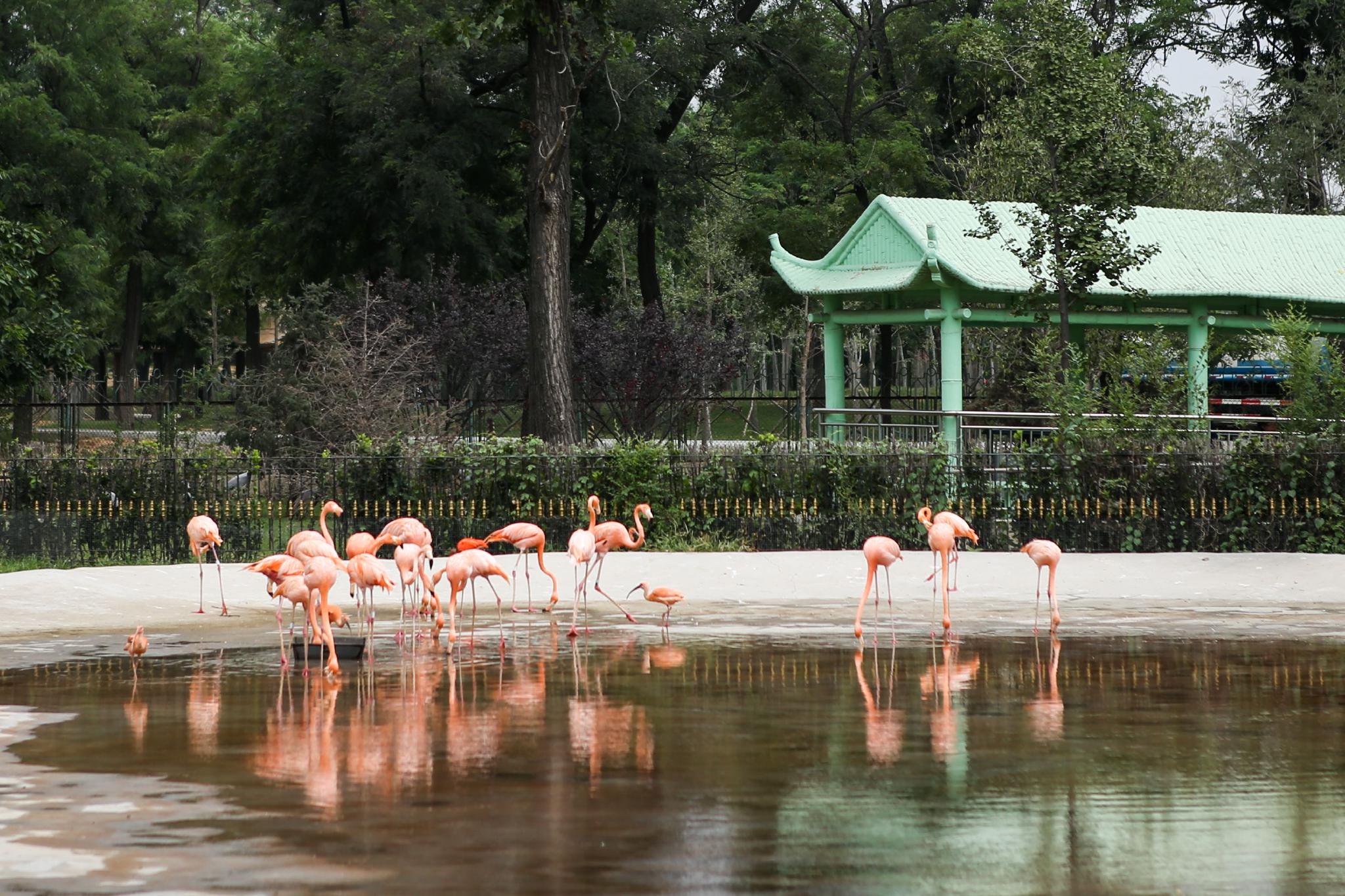 秦皇岛市动物园。受访者供图