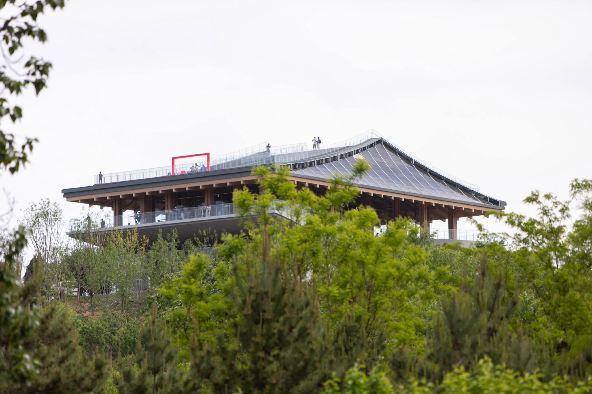 南苑森林湿地公园观景台建成开放 "五一"文化游园会同步启幕