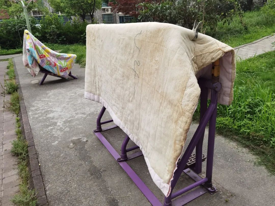 图库版权图片,转载使用可能引发版权纠纷