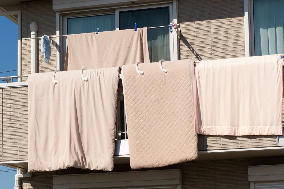 图库版权图片,转载使用可能引发版权纠纷