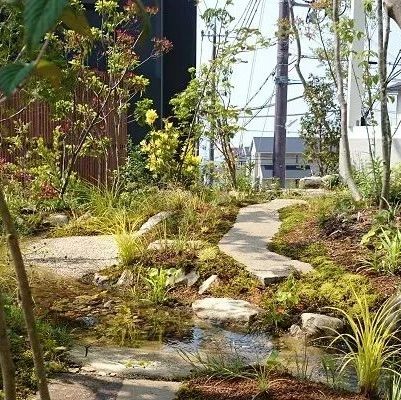 将自然景色搬回家中,在杂木庭院中感受山林之趣|生活|植物|大自然|苔藓|绿色_新浪新闻