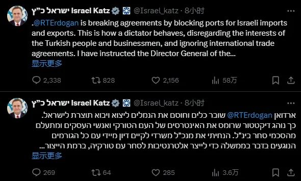 以色列外长卡茨怒喷埃尔多安“独裁者”，推文截图