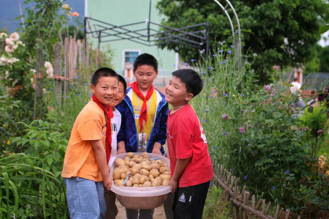 浙江省诸暨市赵家镇中心小学的同学们在老师带领下来到校劳动实践基地采枇杷。体验劳动的辛苦和收获的喜悦。杨洁 摄