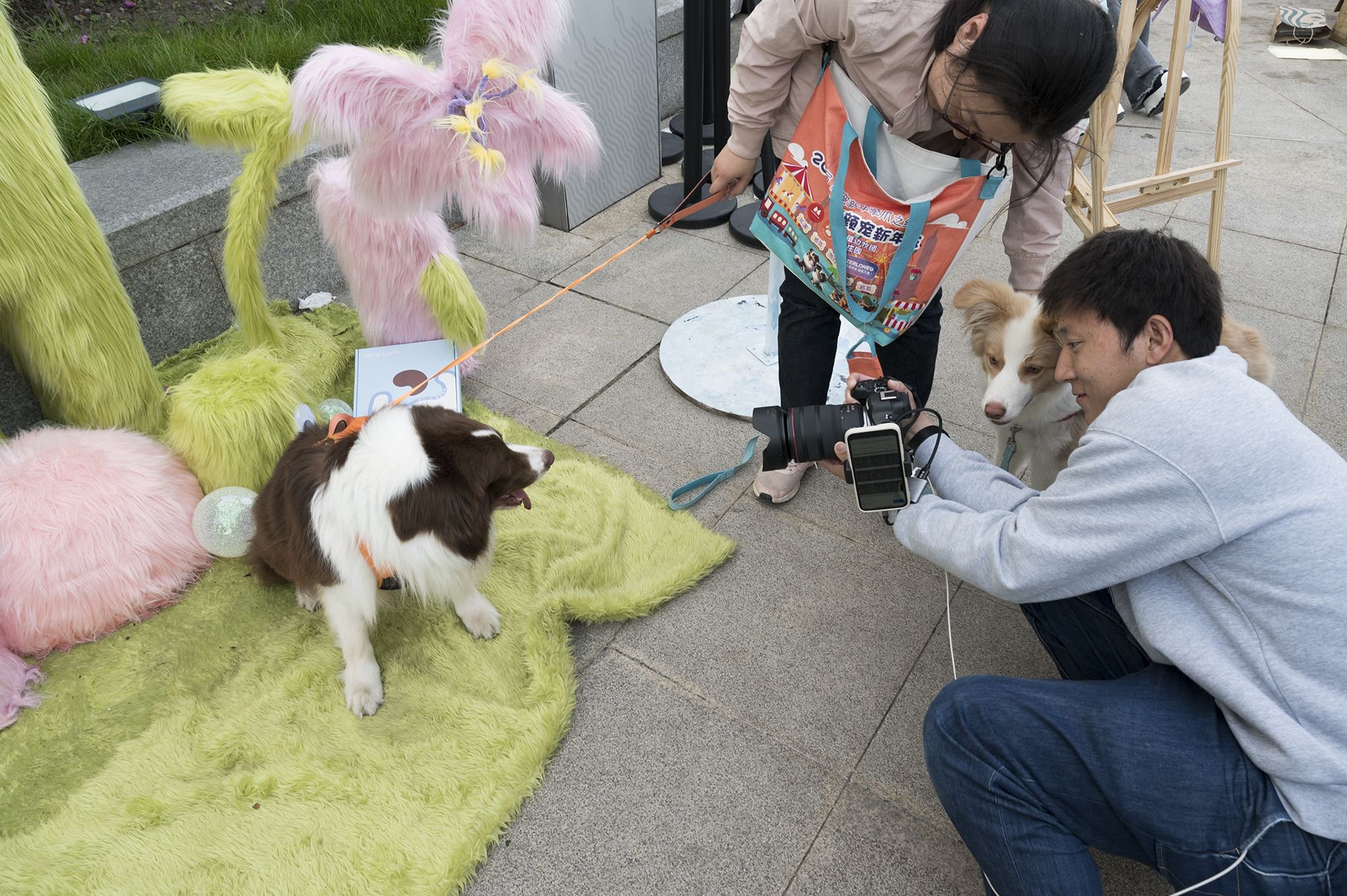 2024年5月1日，上海徐汇滨江。傅女士带着她的爱犬在宠物照相点前留影。澎湃新闻记者 吴栋 图