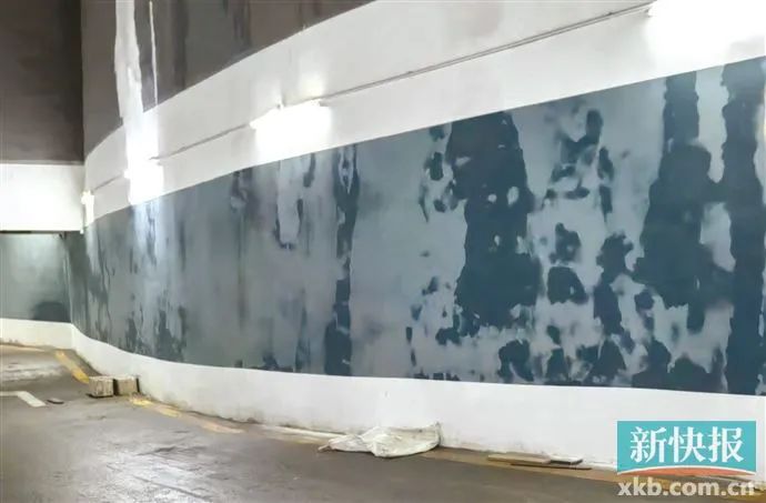 4月7日，业主走访璇湾A区地下车库发现墙壁有大面积渗漏水。受访者供图