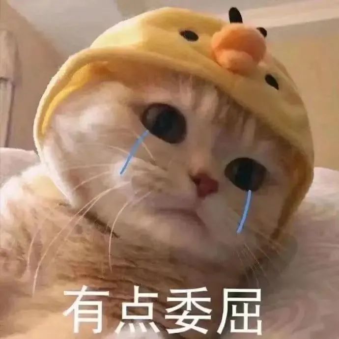 闹笑话了,5月第一场雅思口语,直接血本无归|题库|考试|同学|题目|备考_新浪新闻