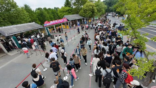 2024年5月3日，大批游客来到南京明孝陵参观，感受世界文化遗产600年岁月。吴俊摄