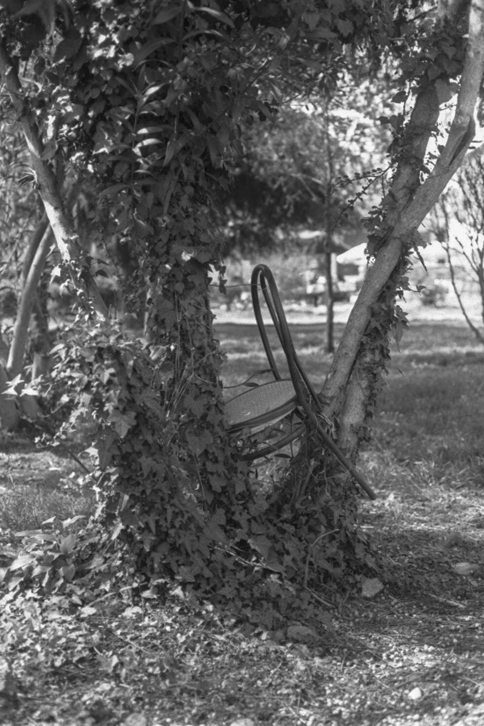 素描 981_1472 竖版 竖屏