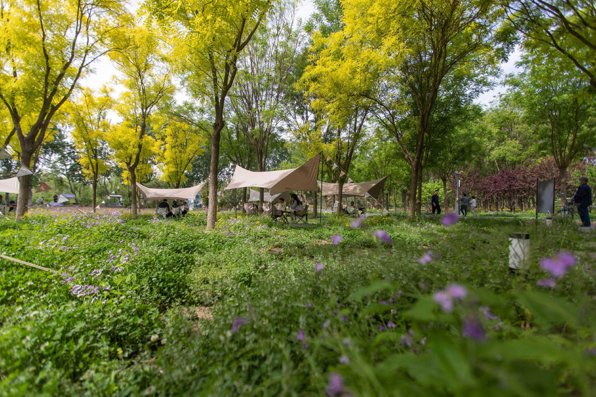 七七事变抗日英雄 佟麟阁赵登禹壮烈殉国