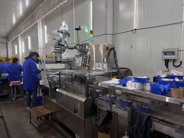 上海金山蘑菇小镇上的菌菇生产车间。上海市税务局供图