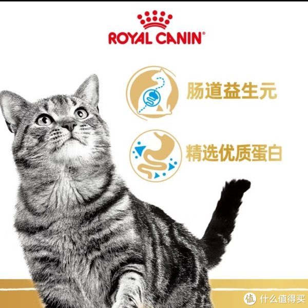 猫咪饮食全攻略:精选优质猫粮,守护喵星人的健康!|猫咪|蛋白质|饮食|猫粮|健康|来源|铲屎官|营养|需求|喵星人_新浪新闻