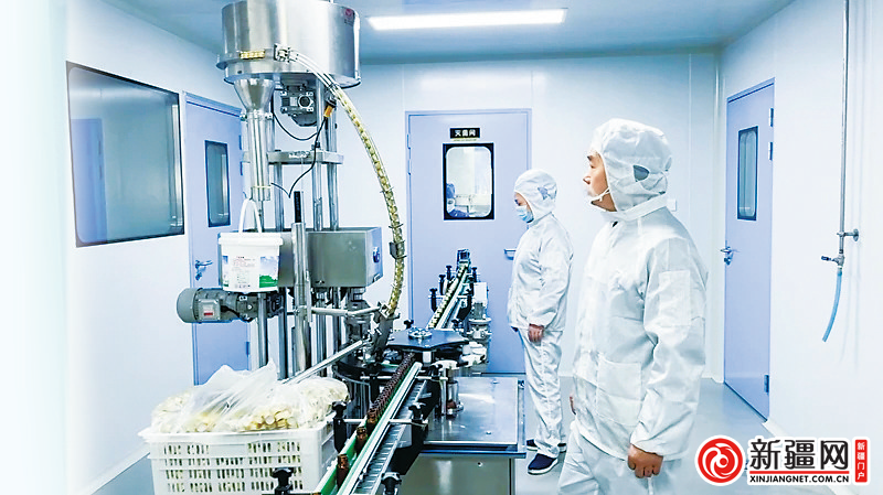 5月6日,在新疆华圣元医药科技有限公司生产车间,工作人员正在生产肉