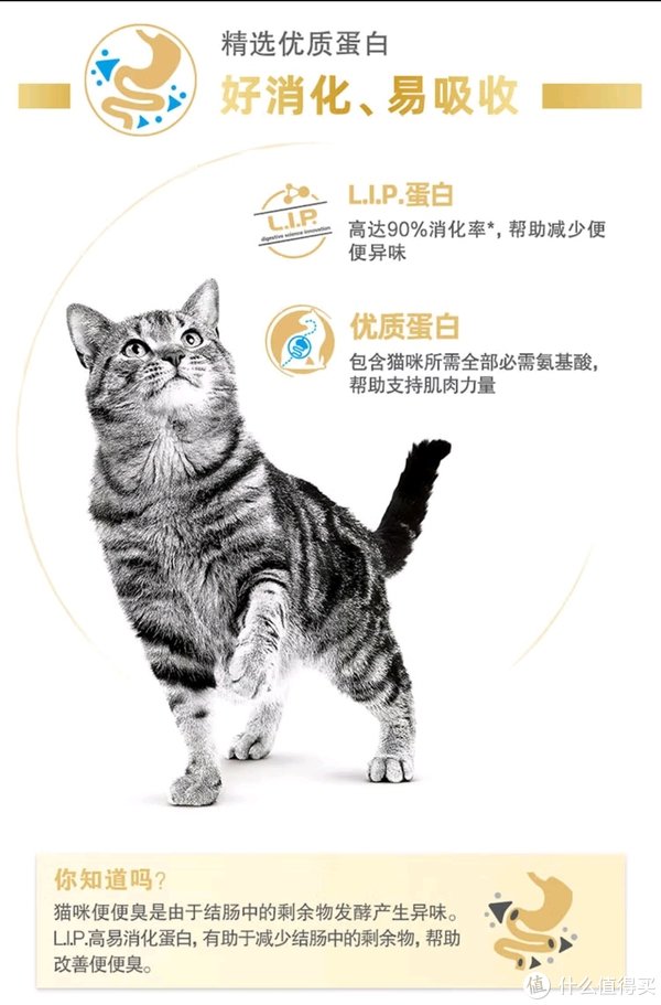 猫咪饮食全攻略:精选优质猫粮,守护喵星人的健康!|蛋白质|来源|铲屎官|营养|需求_新浪新闻