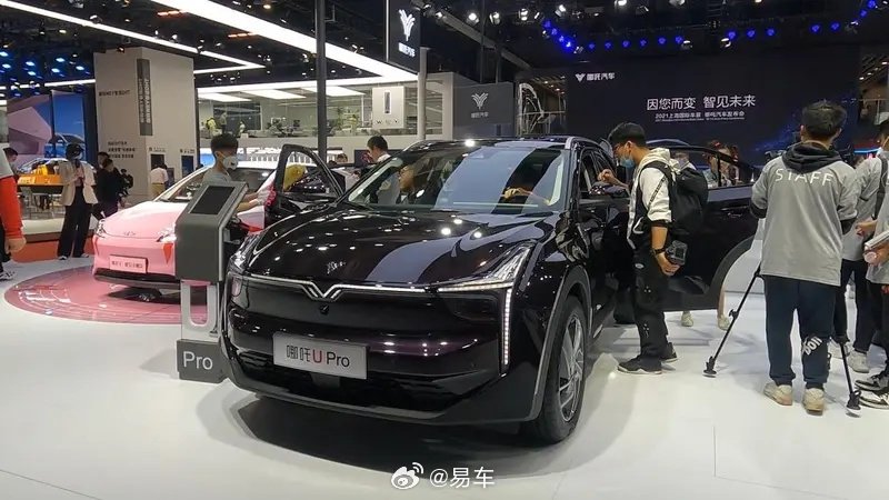 河南省消费品以旧换新全面启动 购买新能源车至高补贴1万元