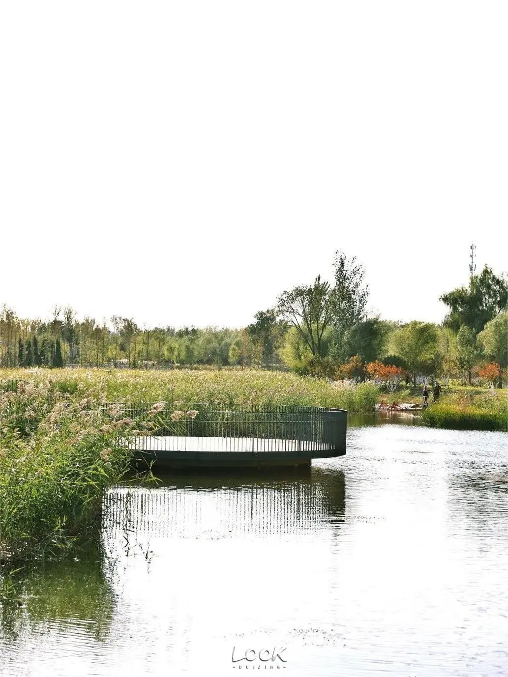 可能是当下最火的事儿!北京"最佳野餐地指南",出炉