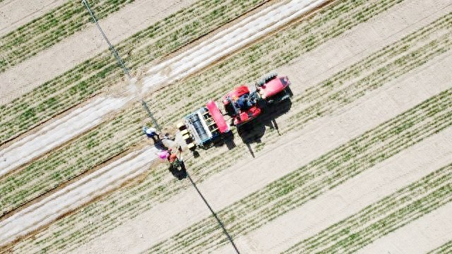"新技术"为农业现代化注入新活力|苹果_新浪财经_新浪