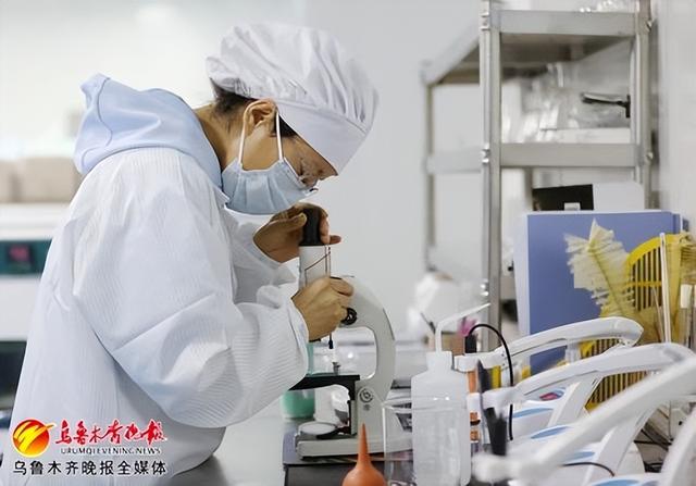　　5月7日，在高新区（新市区）的新疆冰山之父生物科技有限责任公司实验室，工作人员正在进行产品实验。记者石磊摄