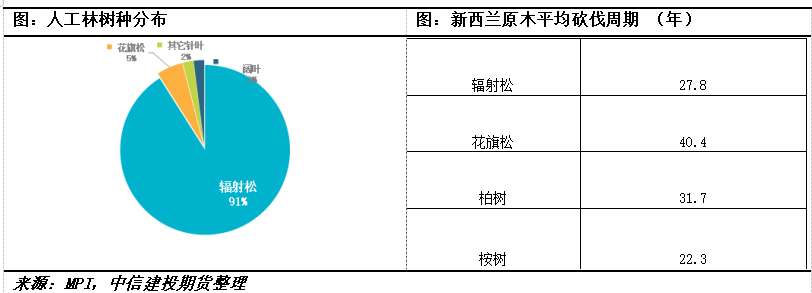 【建投阅木集】新西兰林业的发展史：绿色铁矿石的供应周期