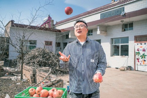 　　洛川农户蔡春亮家的苹果丰收了。　受访者供图