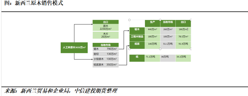 【建投阅木集】新西兰林业的发展史:绿色铁矿石的供应周期
