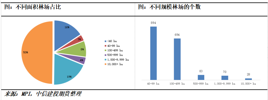 【建投阅木集】新西兰林业的发展史:绿色铁矿石的供应周期