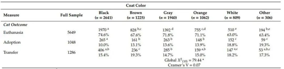 女明星的"梦中情猫",为什么是白猫