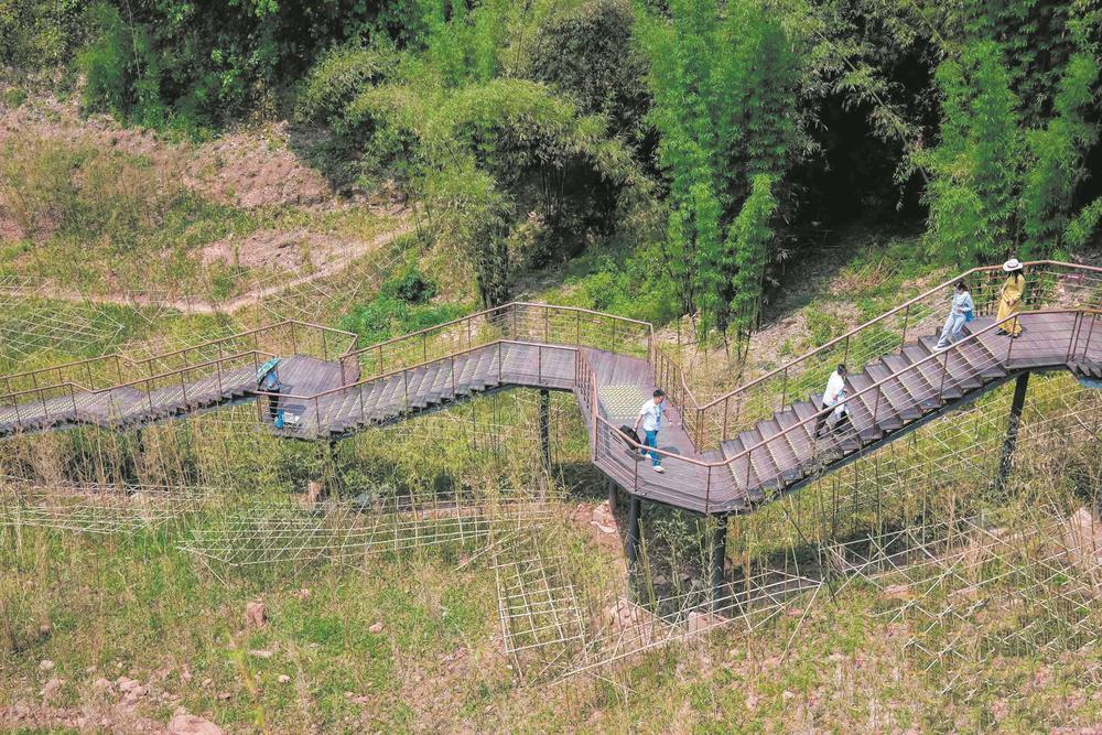 珍稀动植物等你去探秘邛崃分会场
