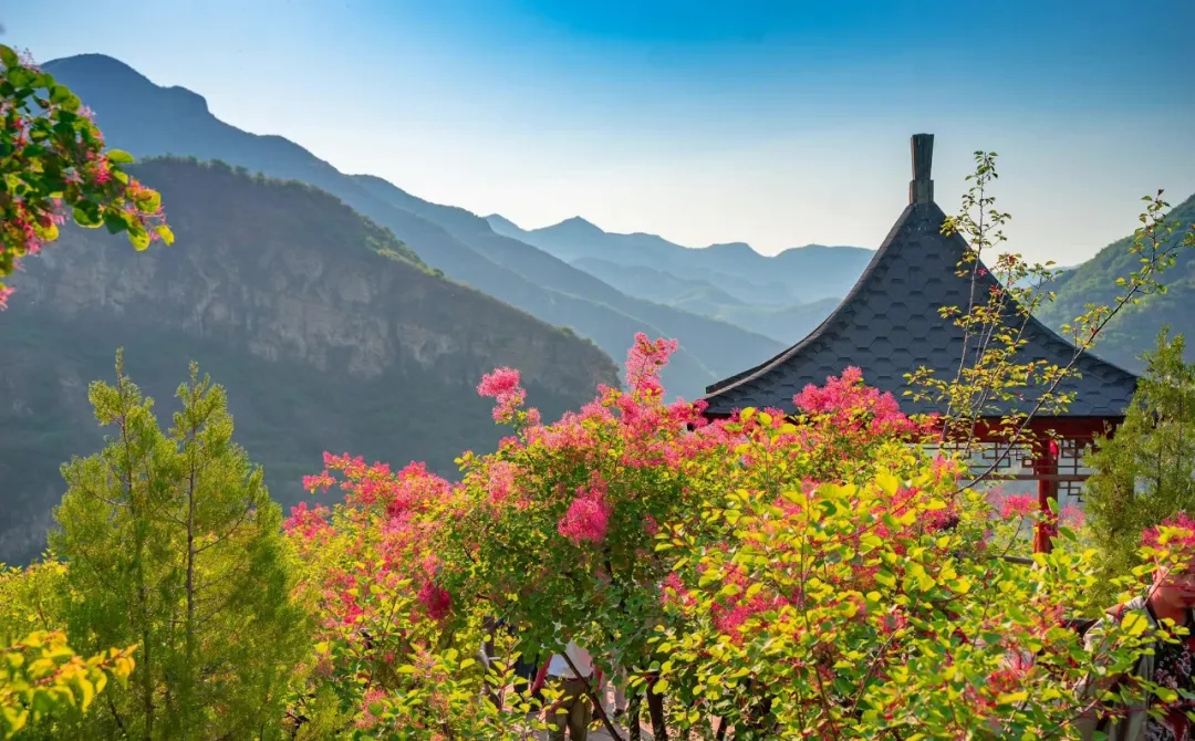 美景令人心醉787878快来房山坡峰岭抓住春天的小尾巴吧～来源