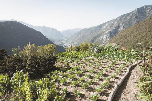 个古老村庄现代与传统相结合的农舍意大利青年贾科莫·佩莱蒂(中)表示