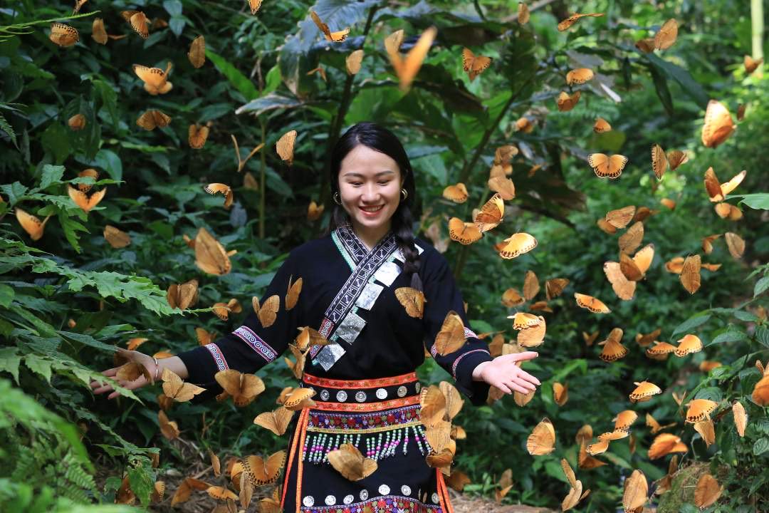 美誉度,长宁区与红河州金平县以"蝶缘千里 相约长宁"为主题,于5月8日