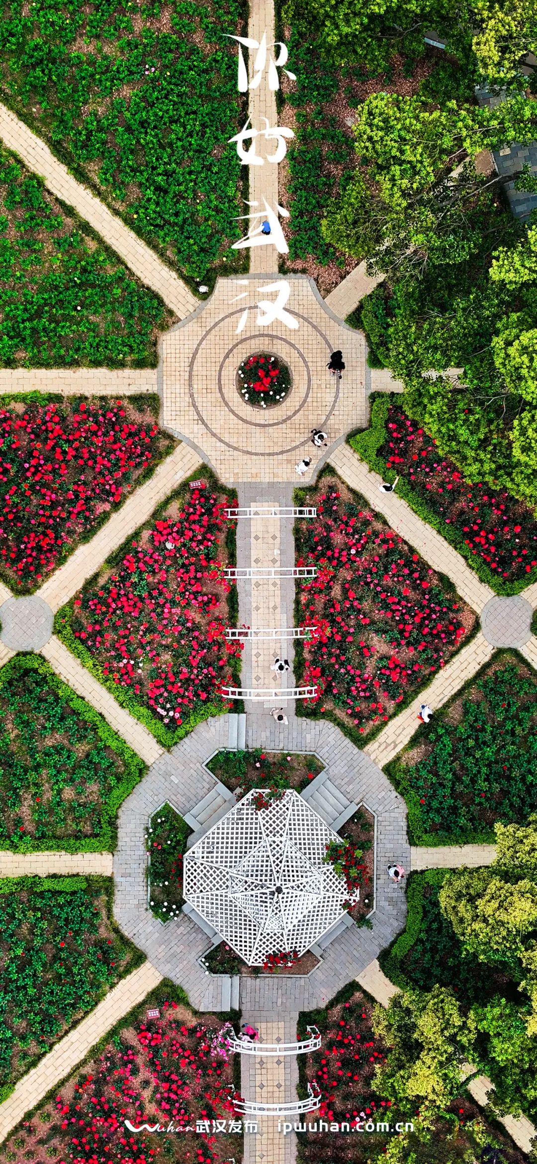 1080_2339竖版 竖屏