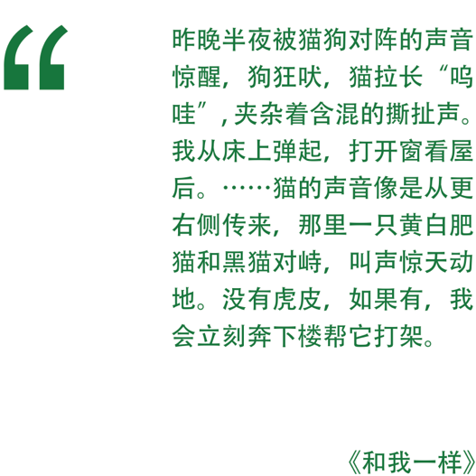 白宫晚宴枪手认供！目标非特朗普，万斯53%支持率成共和党新星