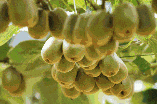 图源：又见都江堰