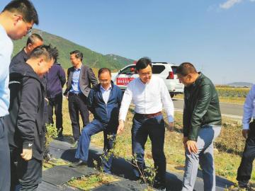 2022年3月25日，王峻（右二）在布拖县考察万亩蓝莓产业园。 浙江省驻川工作组供图