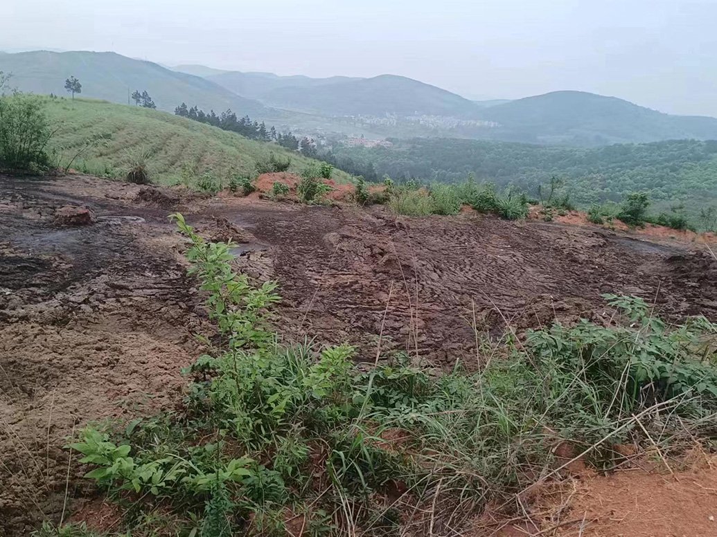 4月15日，村民拍摄到的山坡上的粪渣。 受访者供图
