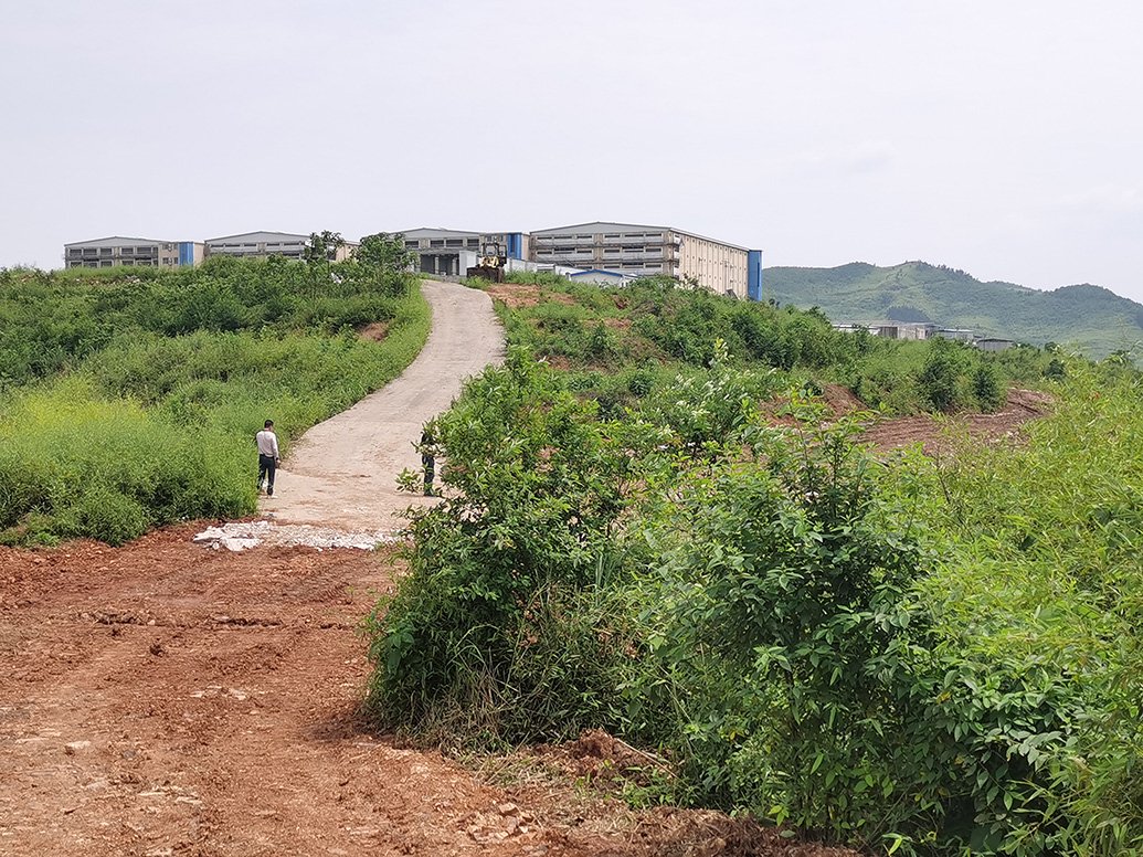 4月15日，村民拍摄到的山坡上的粪渣。 受访者供图